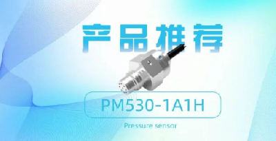 PM530-1A1H高频响压力传感器，精准捕捉瞬间脉动！